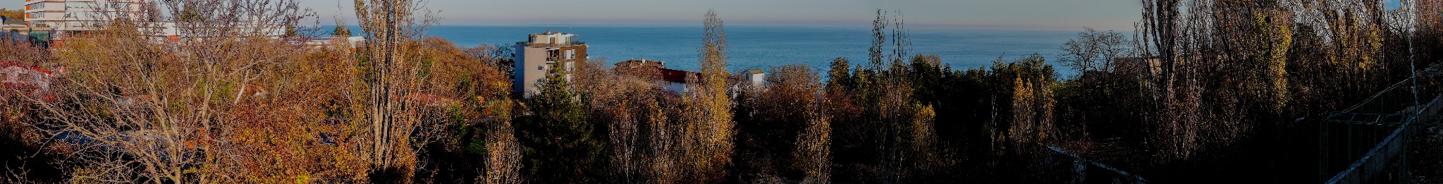 Гледка от етаж 2